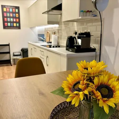 Old Mill Apartment